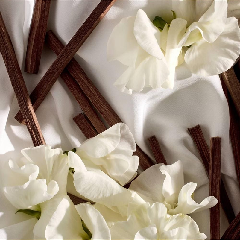 Vanilla & Sweet Signatures